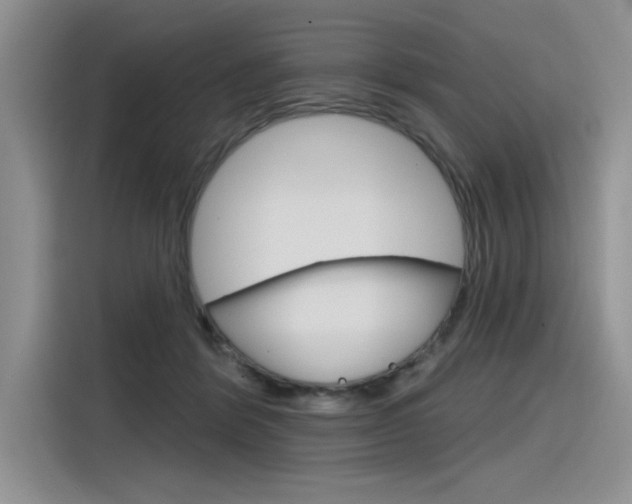 X0000116380412200912020950