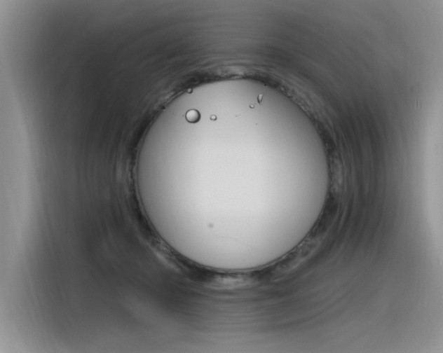X0000116380414200912020950
