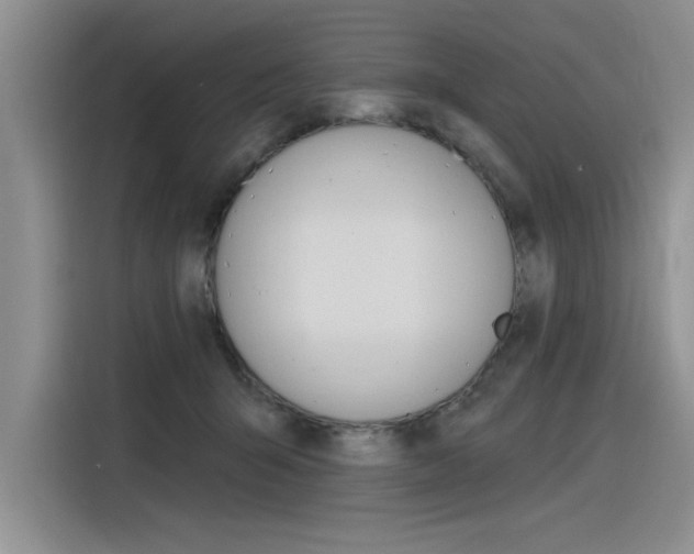 X0000116380415200912020950