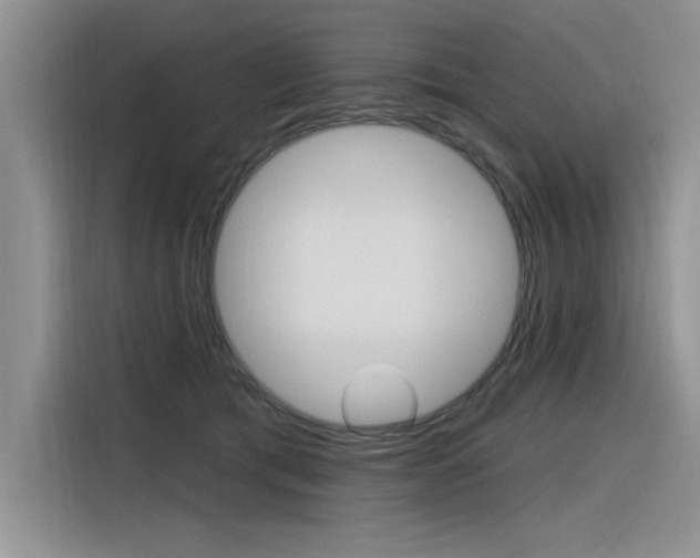 X0000116380417200912020950
