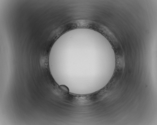 X0000116380419200912020949