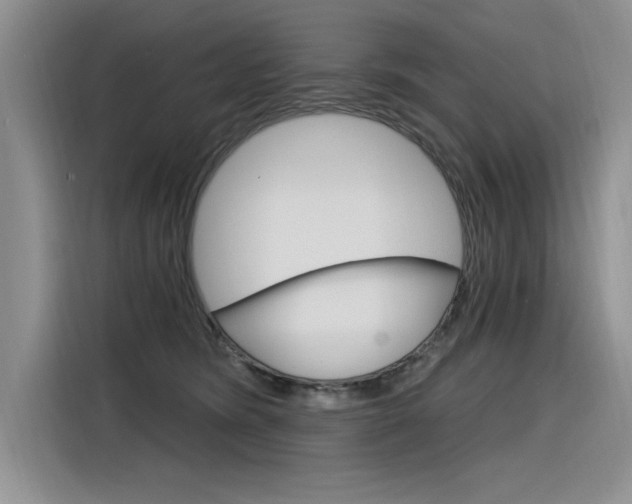 X0000116380420200912020949
