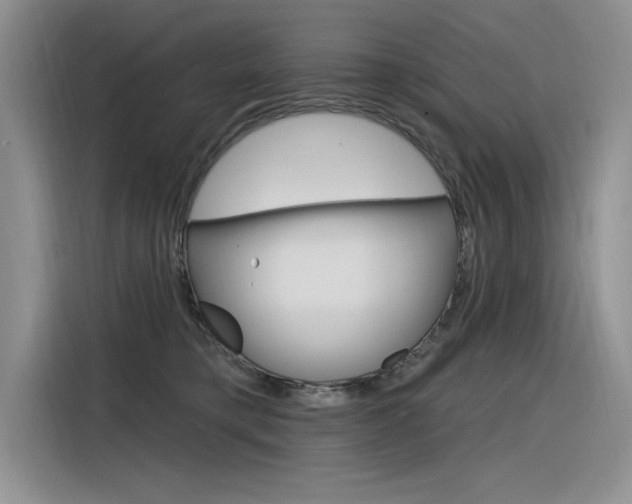 X0000116380421200912020949