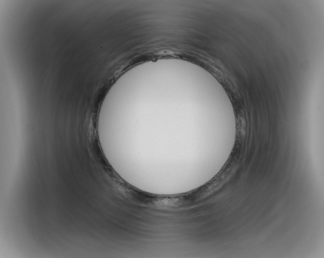 X0000116380422200912020949