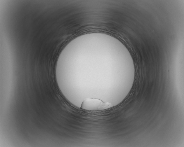 X0000116380423200912020949