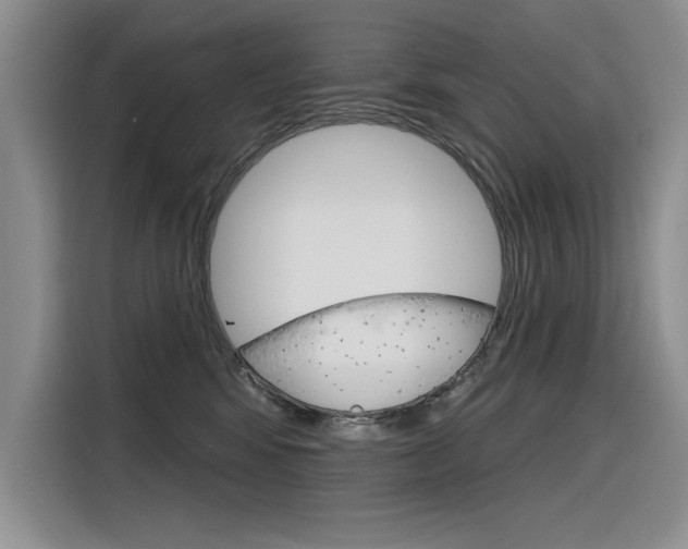 X0000116380424200912020949