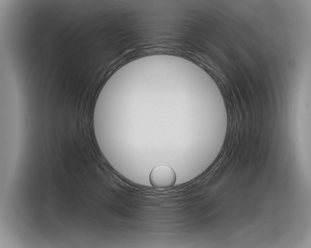 X0000116380425200912020949