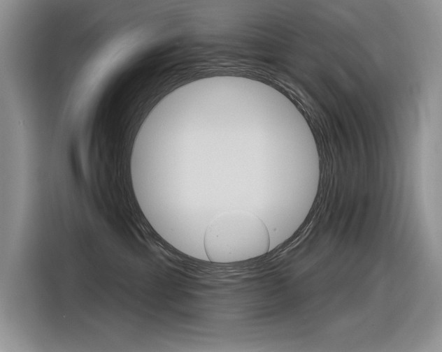 X0000116380429200912020949