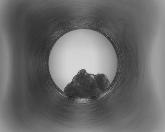 X0000116380432200912020949