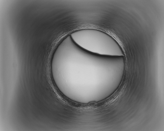 X0000116380433200912020949