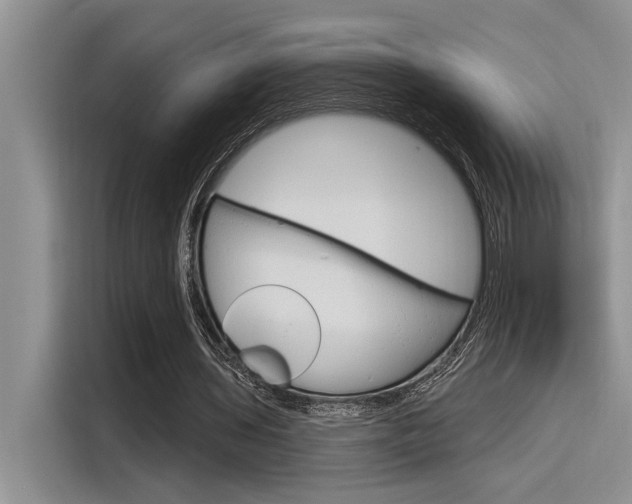 X0000116380435200912020949