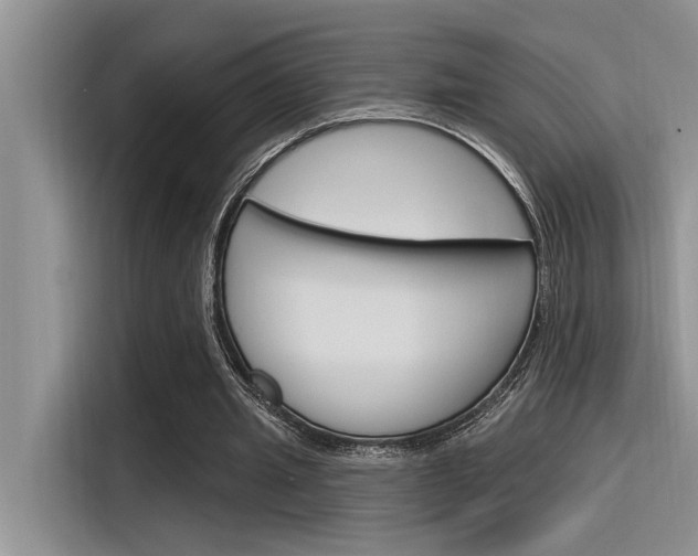 X0000116380437200912020949