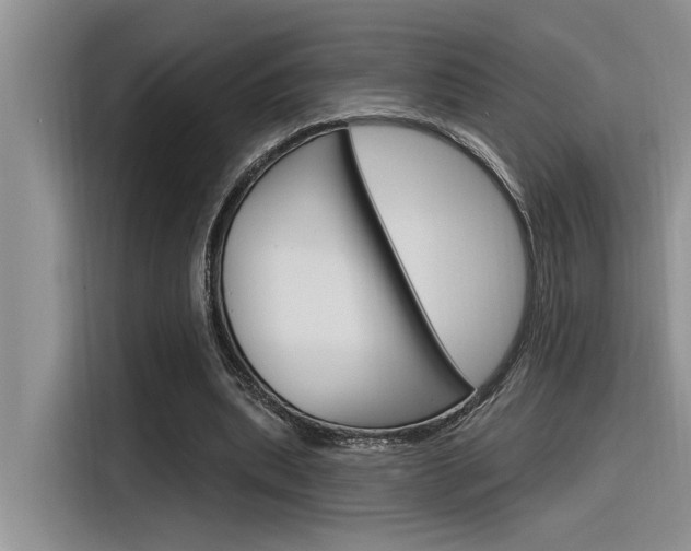 X0000116380439200912020949