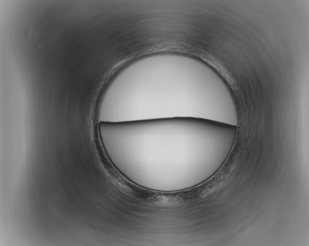X0000116380442200912020949
