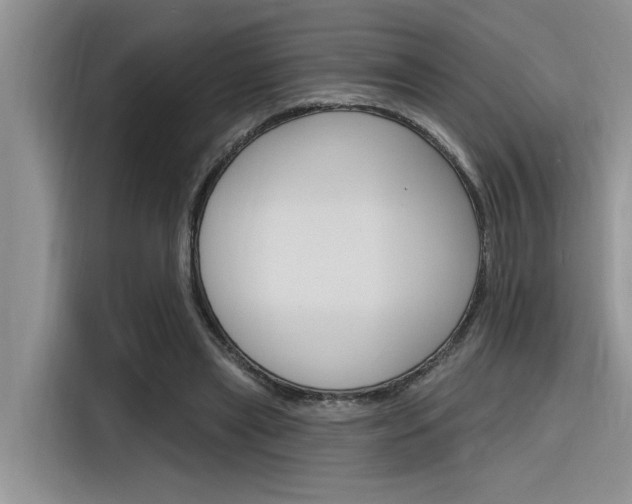 X0000116380445200912020949