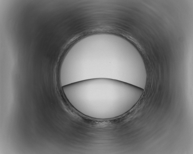X0000116380446200912020949