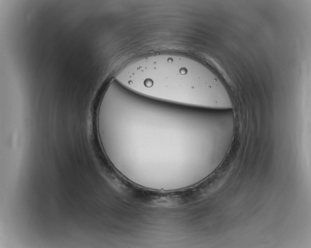 X0000116380447200912020949