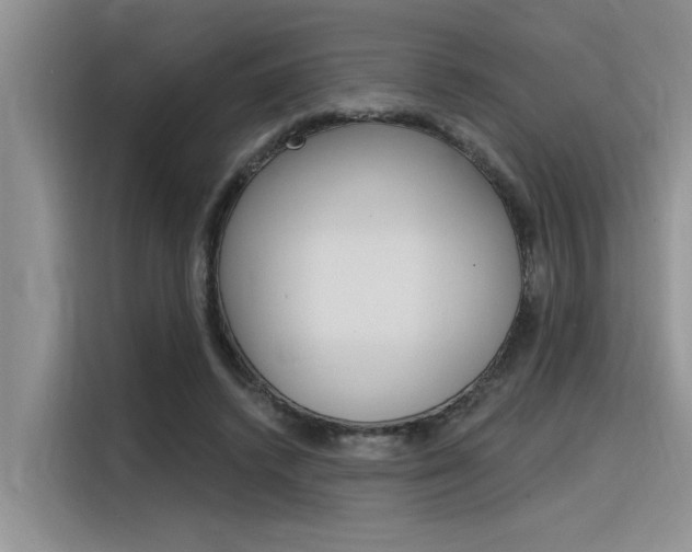 X0000116380448200912020949