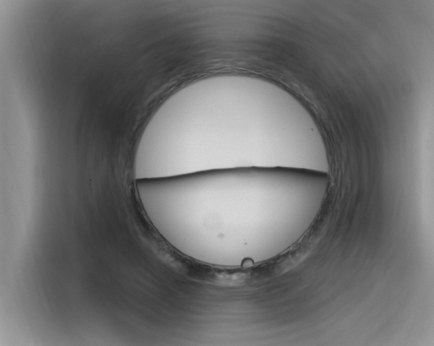 X0000116380450200912020949