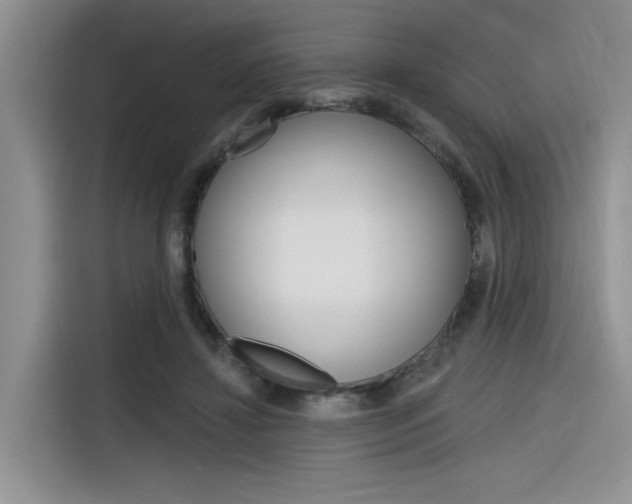 X0000116380452200912020949