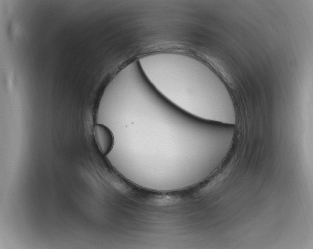 X0000116380453200912020949