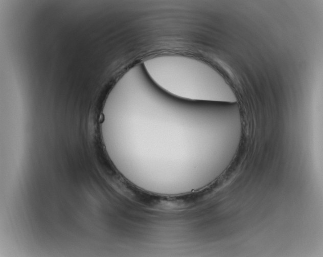 X0000116380455200912020949