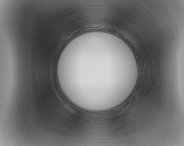 X0000116380456200912020949