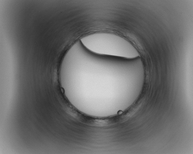 X0000116380457200912020949