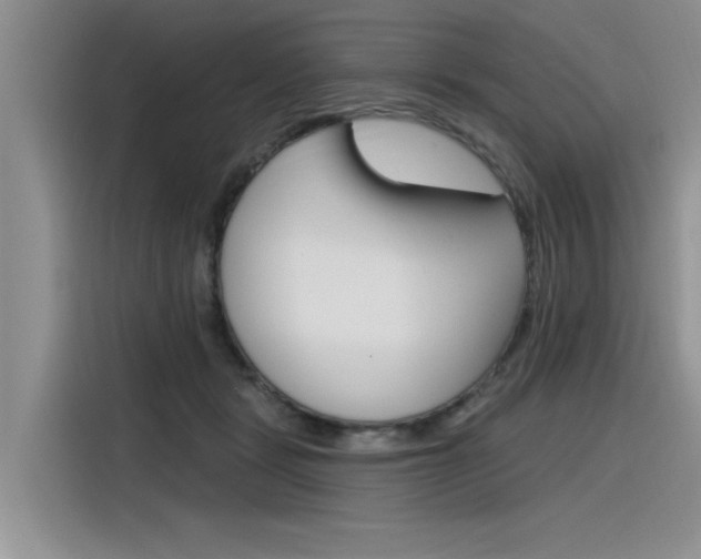 X0000116380461200912020949