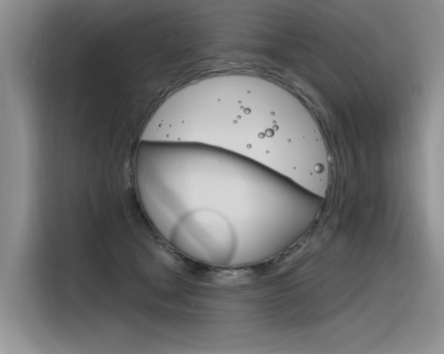 X0000116380465200912020949