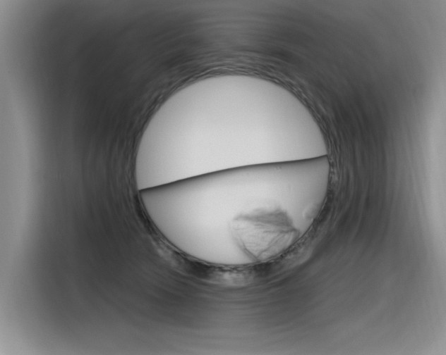 X0000116380466200912020949