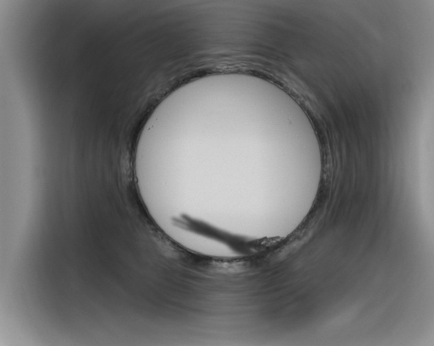 X0000116380469200912020949