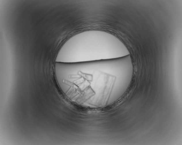 X0000116380470200912020949