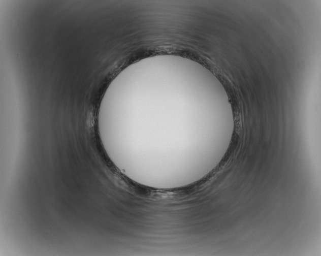 X0000116380472200912020949