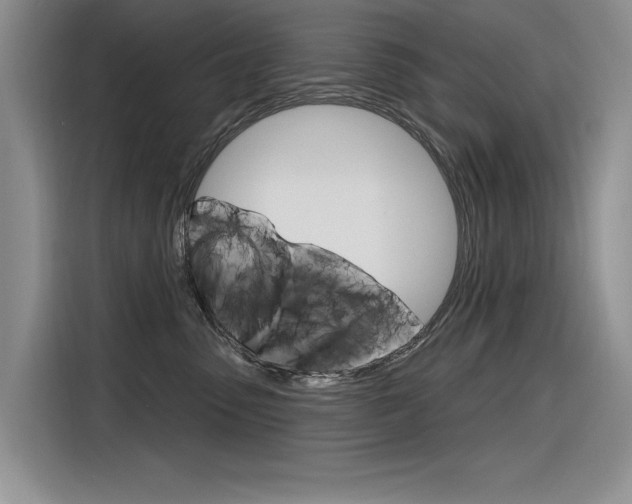 X0000116380475200912020949