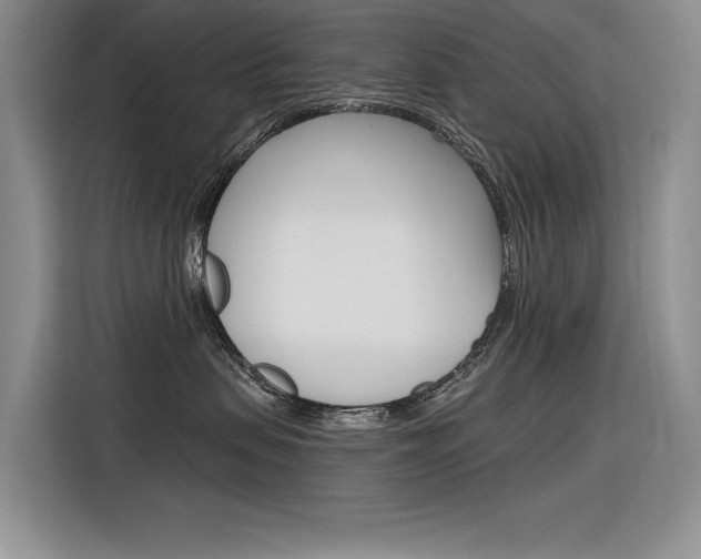 X0000116380479200912020949