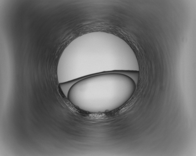 X0000116380480200912020949