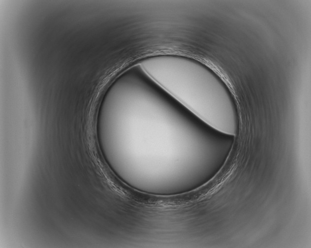 X0000116380481200912020949
