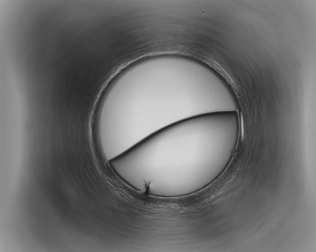 X0000116380483200912020949