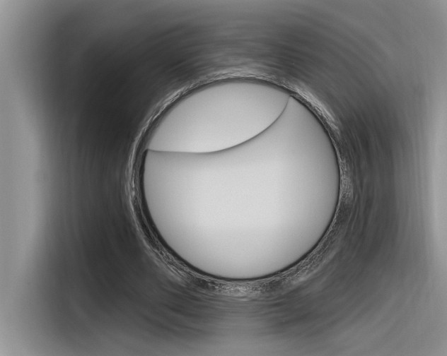 X0000116380486200912020949