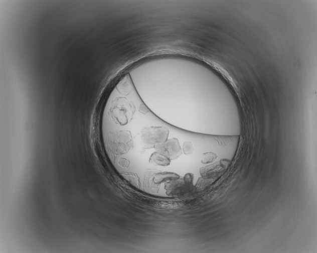 X0000116380487200912020949