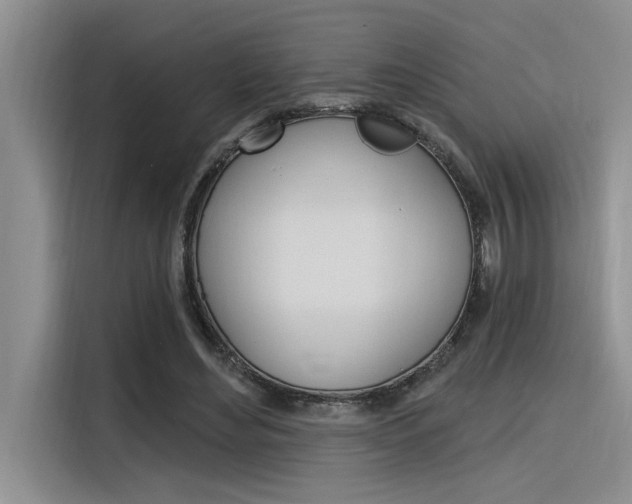 X0000116380492200912020949