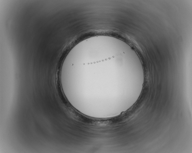 X0000116380495200912020949