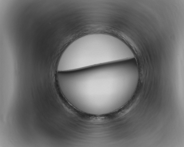 X0000116380497200912020948