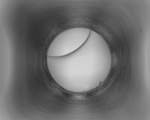 X0000116380502200912020948