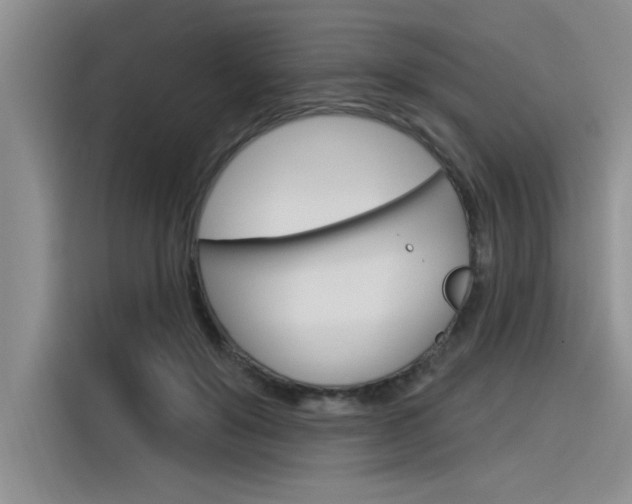 X0000116380503200912020948
