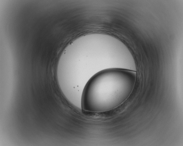 X0000116380504200912020948