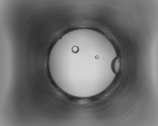 X0000116380505200912020948