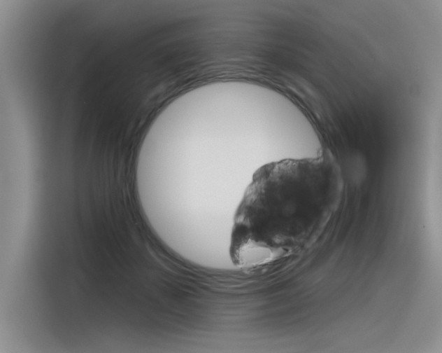 X0000116380507200912020948