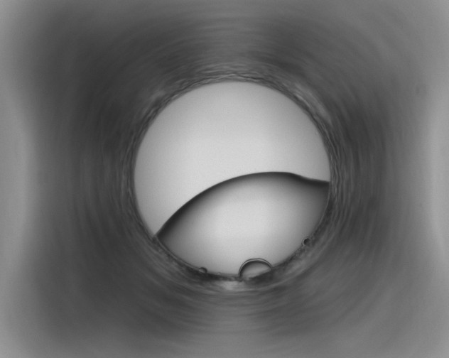 X0000116380509200912020948